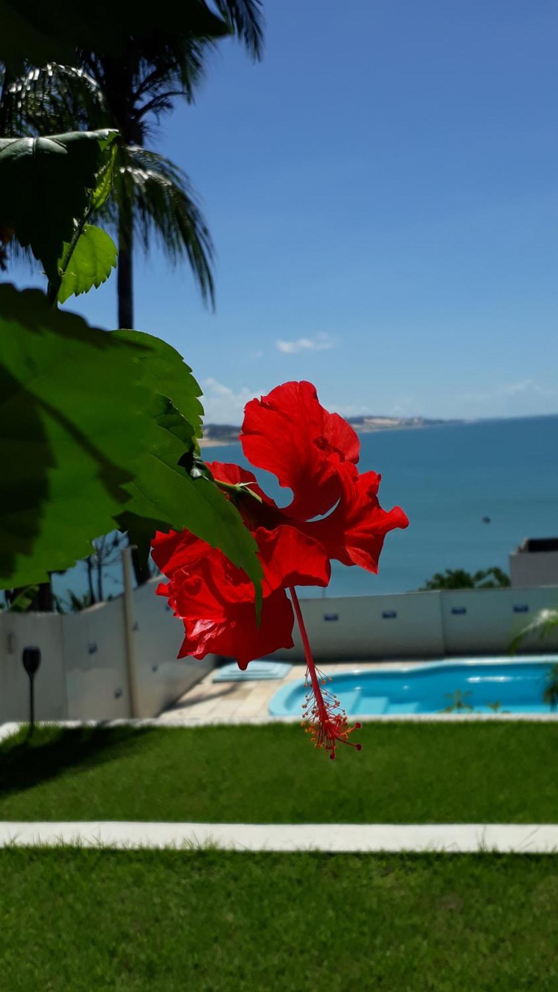Hotel Pousada Estacao Do Sol ناتال المظهر الخارجي الصورة